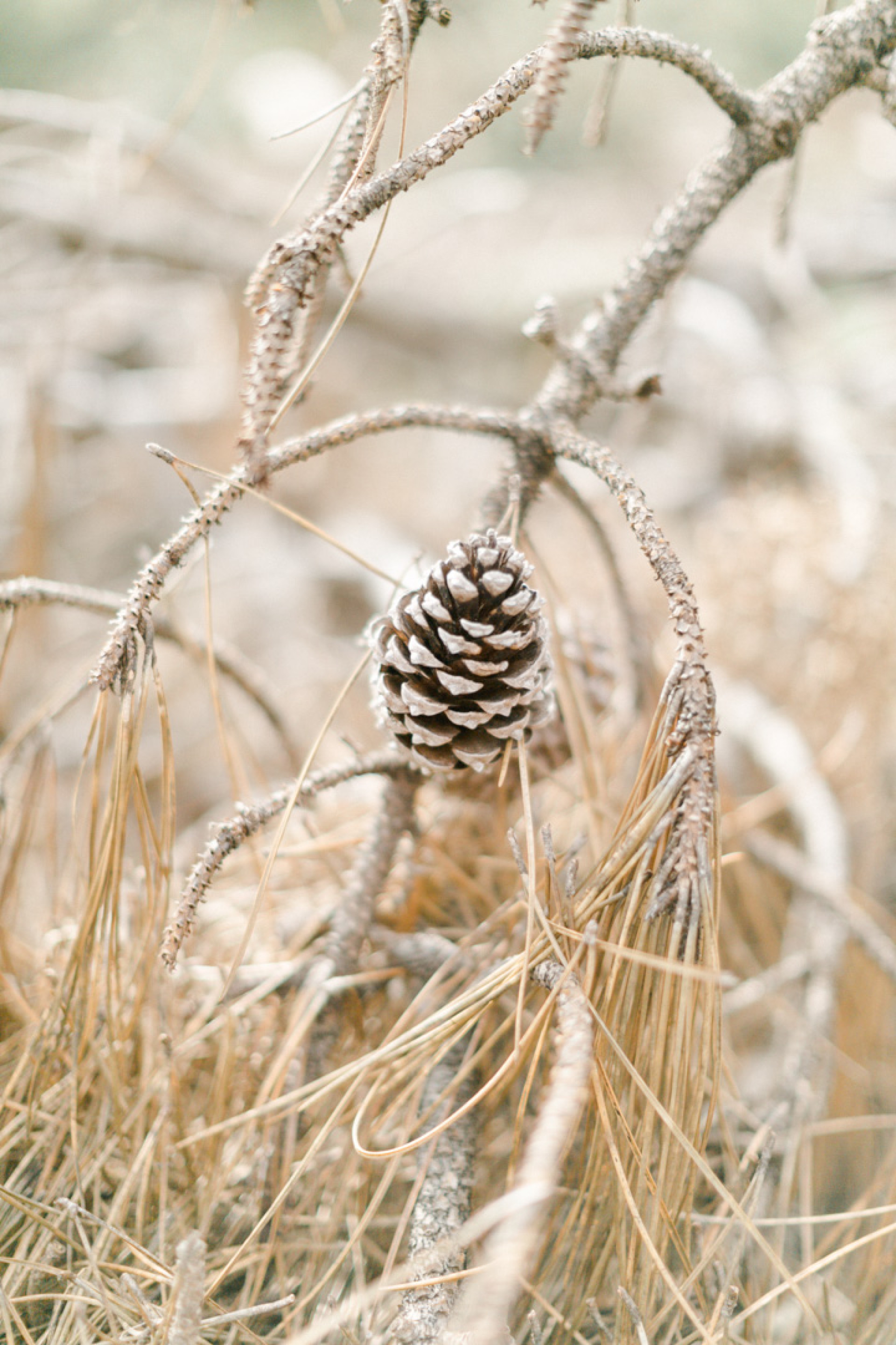 Stéphanie, Stéphane & Evan